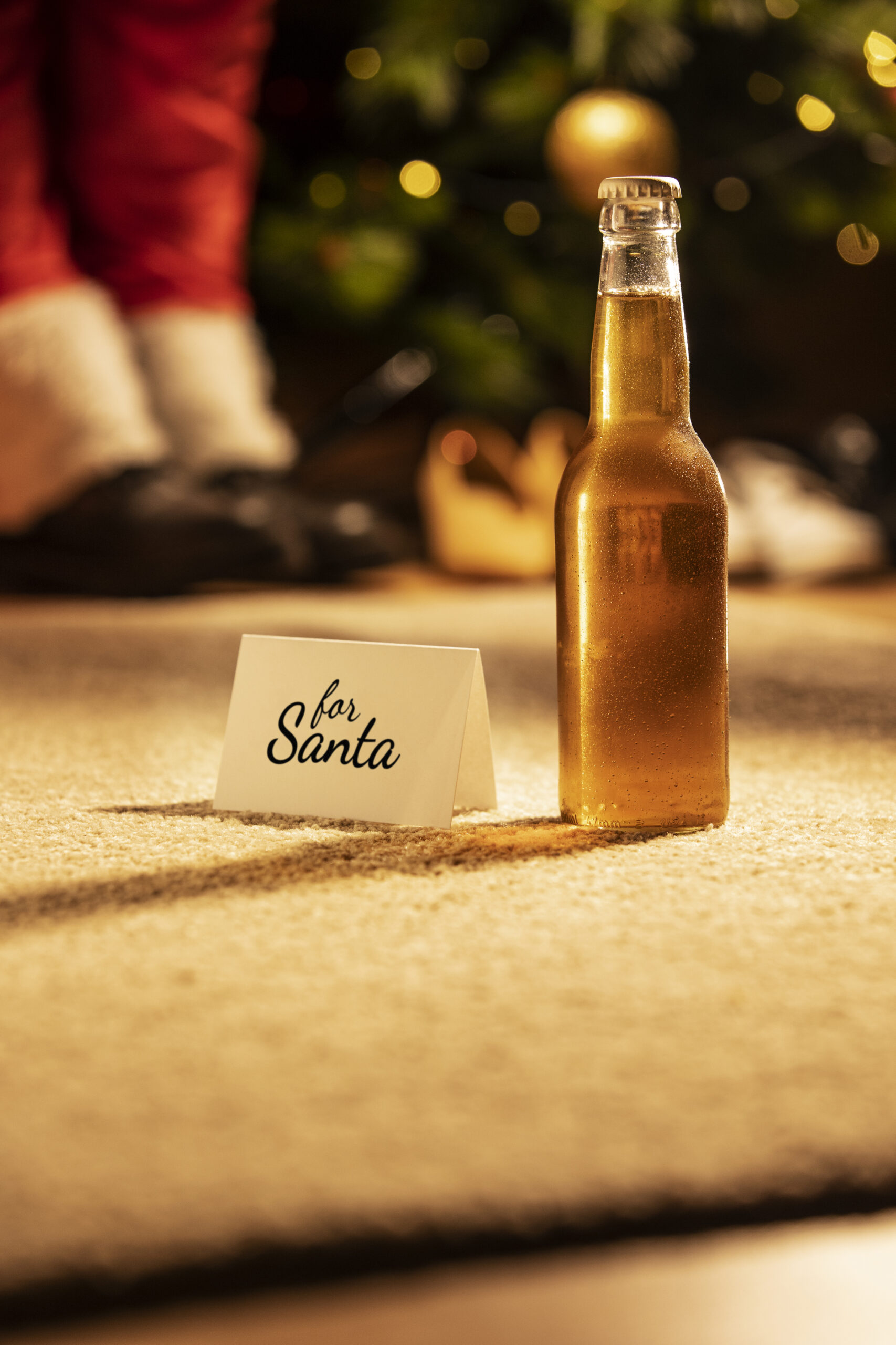 christmas-beer-bottle-still-life